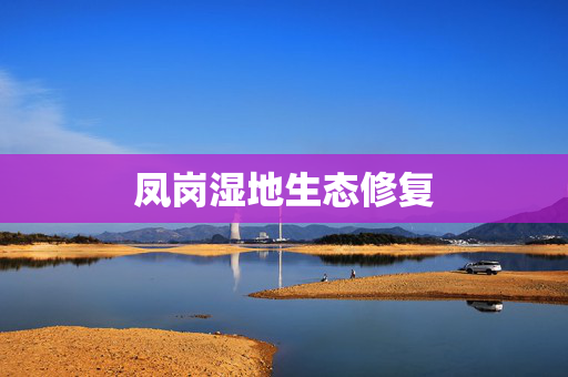 凤岗湿地生态修复