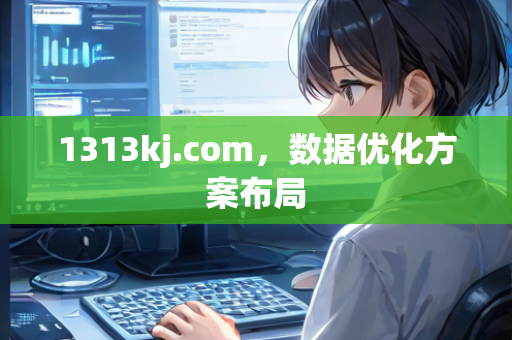 1313kj.com，数据优化方案布局