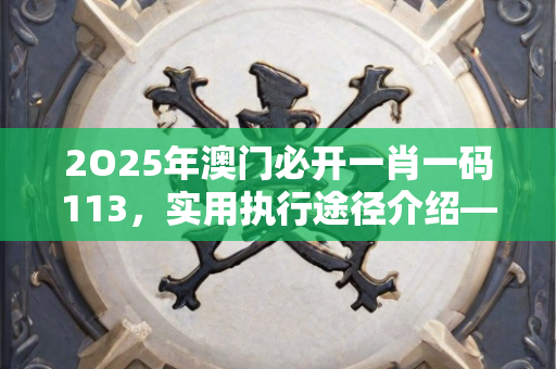 2O25年澳门必开一肖一码113，实用执行途径介绍—EfGhI