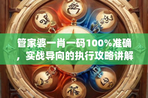 管家婆一肖一码100%准确，实战导向的执行攻略讲解—LoPqr