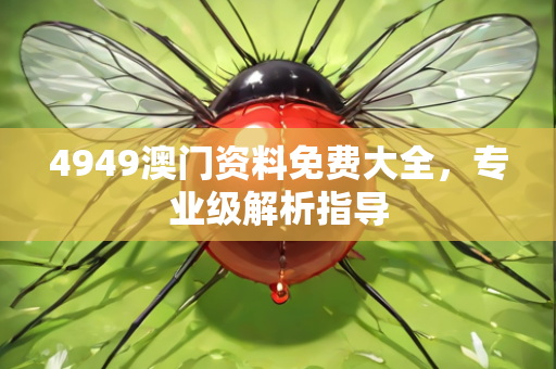 4949澳门资料免费大全，专业级解析指导