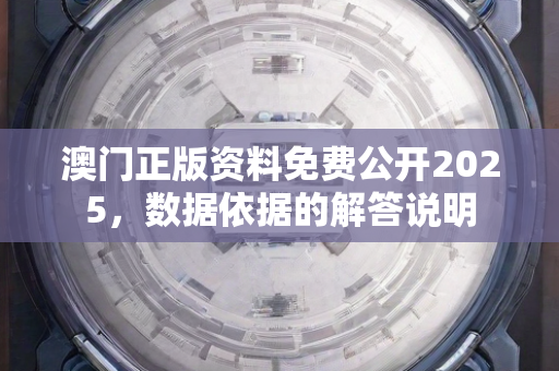 澳门正版资料免费公开2025，数据依据的解答说明