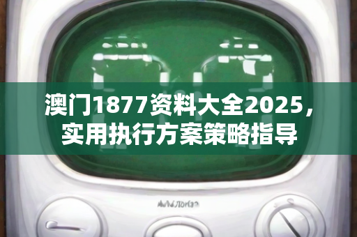 澳门1877资料大全2025，实用执行方案策略指导