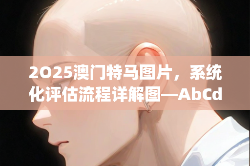 2O25澳门特马图片，系统化评估流程详解图—AbCdJ