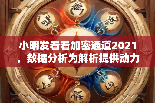 小明发看看加密通道2021，数据分析为解析提供动力