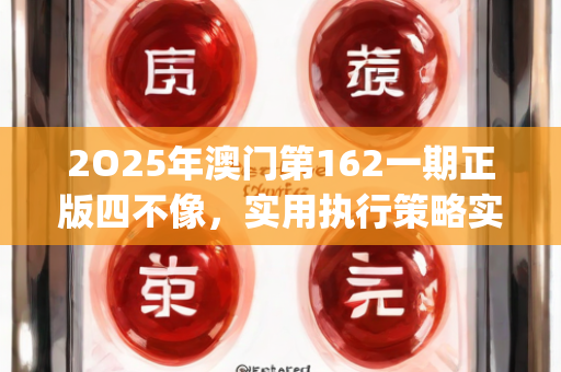 2O25年澳门第162一期正版四不像，实用执行策略实战讲解—PqRst